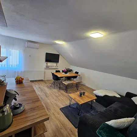 Apartment Ana Gracac (Zadar)